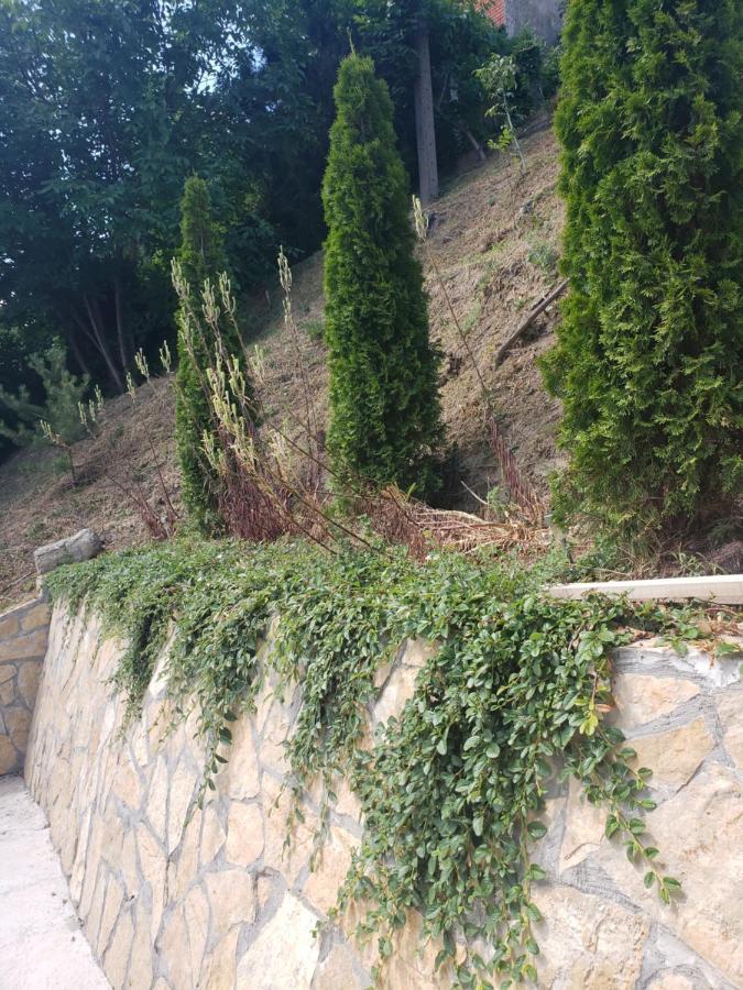 Vila Slankamenka Stari Slankamen ภายนอก รูปภาพ